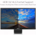 ASUS ProArt PQ22UC - Monitor de 21.6 UHD OLED 