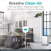  Alen BreatheSmart FIT50 - Purificador de aire con cubierta de roble, tecnología SmartSensor y WhisperMax 