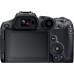 CANON EOS R7 + RF-S 18-150mm F3.5-6.3 IS STM + Bague CANON EOS R7 + RF-S 18-150mm F3.5-6.3 IS STM + Bague