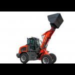 Cargadora de ruedas con motor diésel Euro5 y carga nominal de 2000 kg WL2000