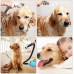 Secador de Pelo para Mascotas de 2200 W, máquina de soplado de Agua, máquina de soplado de Pelo para Perros, Adecuada para Perros y Gatos Grandes y medianos, Velocidad Continua antiescaldami Secador de Pelo para Mascotas de 2200 W, máquina de soplado de Agua, máquina de soplado de Pelo para Perros, Adecuada para Perros y Gatos Grandes y medianos, Velocidad Continua antiescaldami