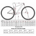 Bicicleta de montaña ICe MT10 Cuadro en Fibra de Carbono, Rueda 29", monoplato, 12V, Color: Negro (19" L) Bicicleta de montaña ICe MT10 Cuadro en Fibra de Carbono, Rueda 29", monoplato, 12V, Color: Negro (19" L)